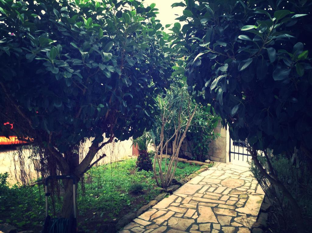 Tivat Star Hotel Luaran gambar